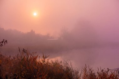 Sabah erkenden, göl üzerinde gündoğumu. Kırsal manzara.