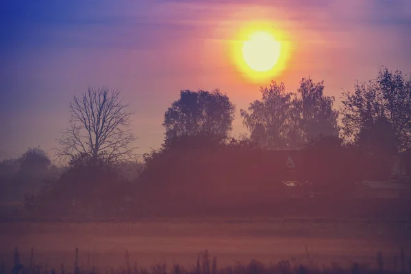 Auringonnousu Pellon Yli Sumuisena Aamuna — kuvapankkivalokuva