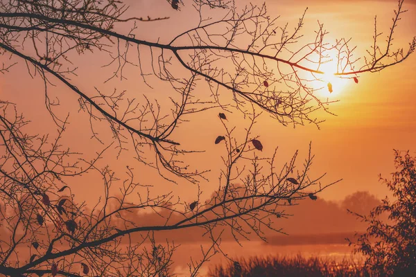 Early morning, sunrise over the lake. Misty morning, rural landscape