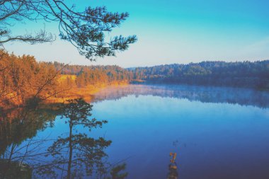 Puslu bir sonbahar sabahı bir dağ Gölü kıyısında kayalık. Norveç'in güzel doğa