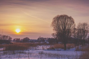 Kış manzara akşam. Gün batımı ışık sahasının ağaçlar