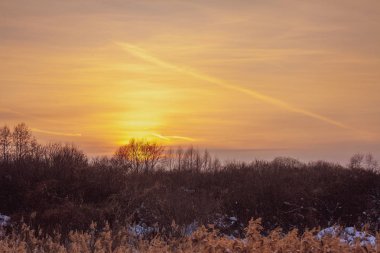 Kırsal kış manzara. Gün batımı ışıkta karlı alan