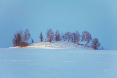 Akşam kırsal kış manzara. Ağaçlar bir tepede bir alanda gün batımında