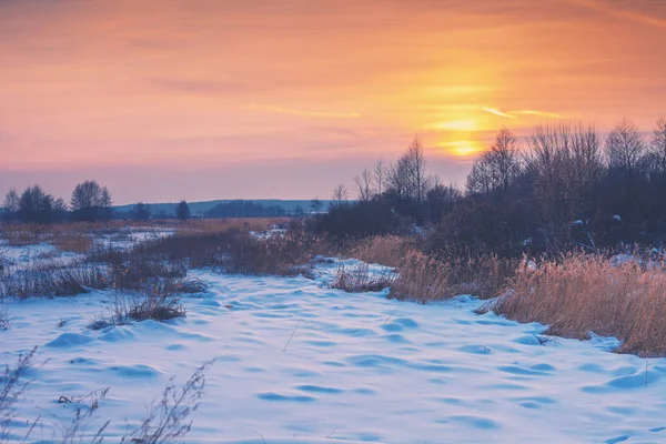 Rural Winter Landscape Snowy Field Sunset Light — Stock Photo, Image