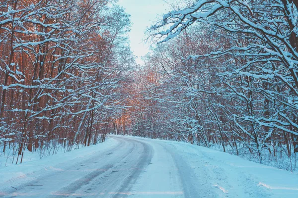 Заснеженная Дорога Зимнем Лесу Модный Винтажный Цвет — стоковое фото