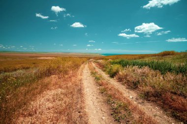 Güneşli bir deniz kenarında bozkır toprak yol
