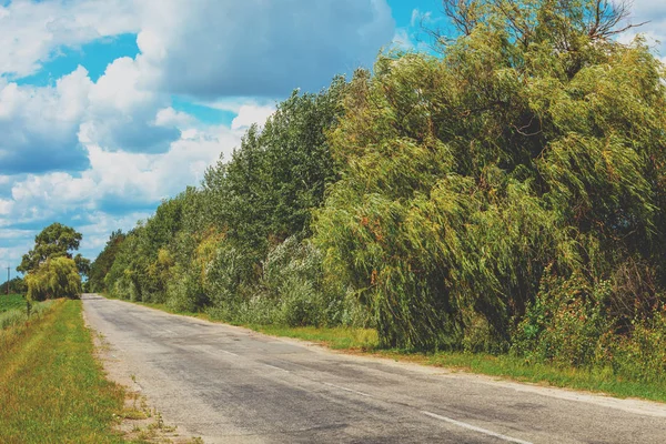 Camino Asfalto Soleado Día Verano — Foto de Stock