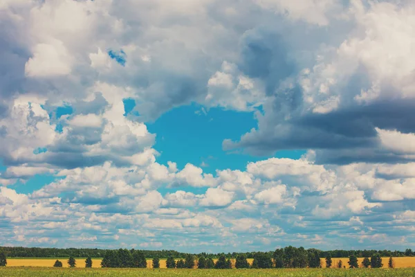 夏の田園風景 青い空と美しい雲と麦畑 — ストック写真