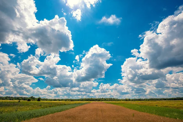 Paisaje Rural Verano Campo Trigo Con Cielo Azul Hermosas Nubes —  Fotos de Stock