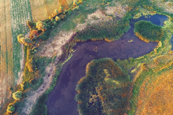 Kronkelende Beek Stroomt Door Het Veld Luchtfoto — Stockfoto