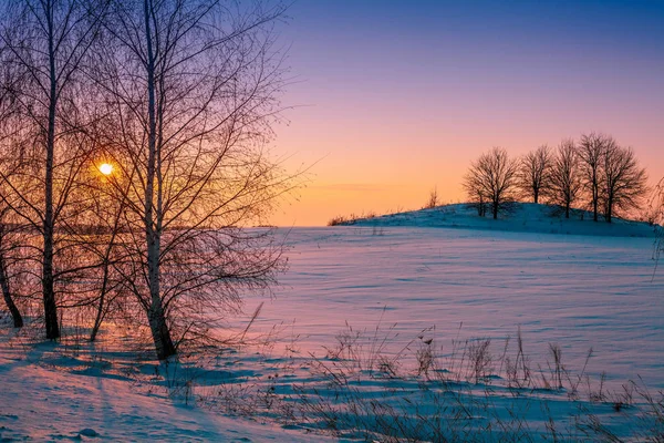 Paisagem Rural Inverno Noite Tempo Gelado Árvores Campo Pôr Sol — Fotografia de Stock