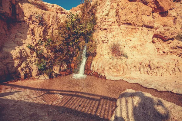 Cascade Dans Réserve Naturelle Ein Gedi Israël Oasis Dans Désert — Photo