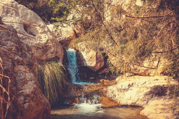 Vattenfall Naturreservatet Ein Gedi Israel Oas Öknen — Stockfoto