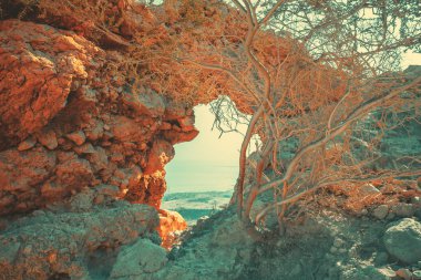 Kayanın kemeri. Ein Gedi Reserve, İsrail