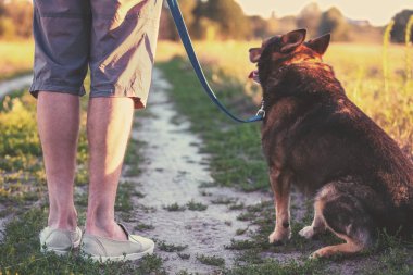 Alanında bir köpekle günbatımında yürüyen bir adam. Köpek tasmasını tutan adam