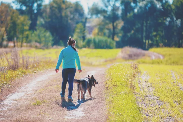 Liten Flicka Och Hund Promenader Landsväg Ett Fält Sommar — Stockfoto