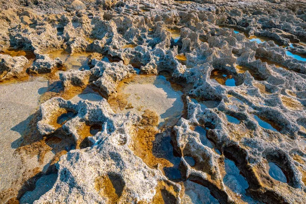 Textura Kamenné Moře Pobřeží — Stock fotografie