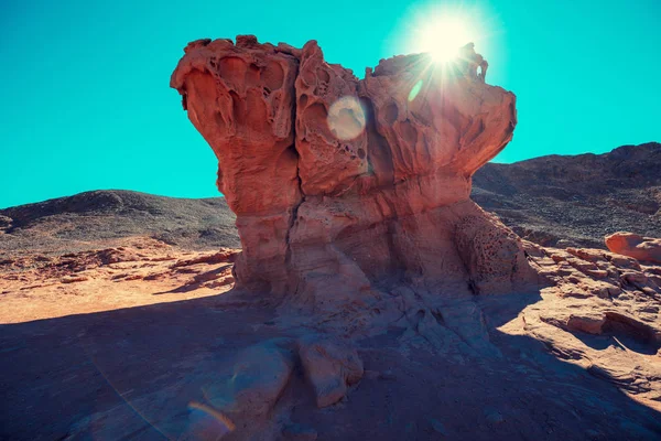 Pilzsandstein Timna Park Der Arabischen Wüste Der Nähe Von Eilat — Stockfoto