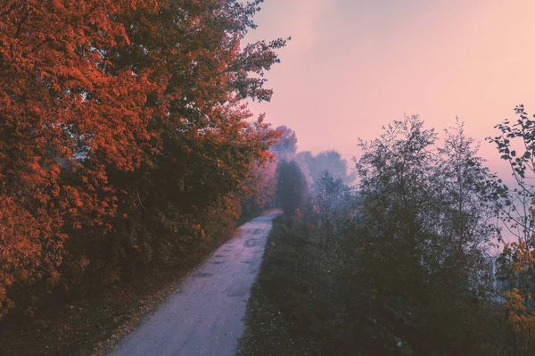 Road Lake Autumn Foggy Morning Rural Landscape — Stock Photo, Image