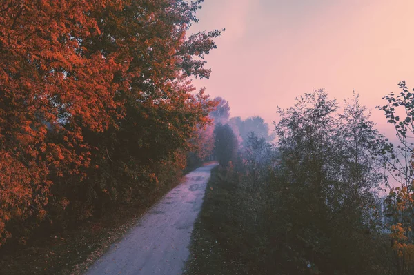 在一个雾蒙蒙的早晨 沿着湖面的路 乡村景观 — 图库照片