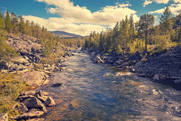 Ruwe Berg Rivier Prachtige Natuur Van Noorwegen — Stockfoto