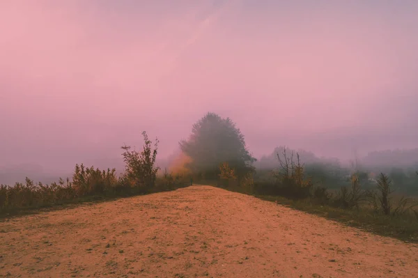 Брудна Дорога Раннього Осіннього Туманного Ранку Сільський Пейзаж — стокове фото