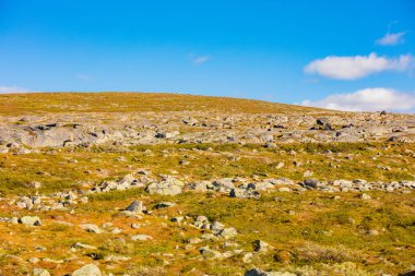 Dağ manzarası, sonbaharda Lapland. Norveç'in güzel doğası