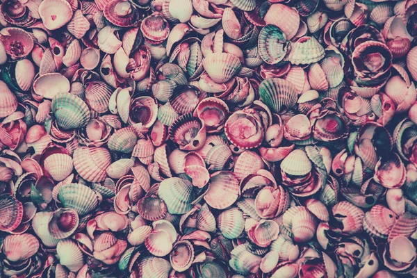 Natural Abstract Vintage Purple Colored Shells Background — Stock Photo, Image