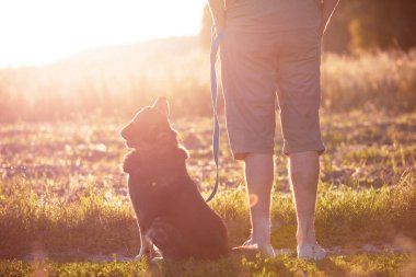 Alanında bir köpekle günbatımında yürüyen bir adam. Köpek tasmasını tutan adam