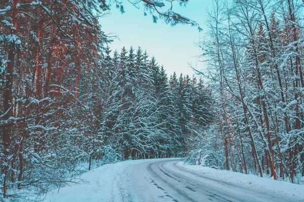 Snow Covered Road Winter Forest Trendy Vintage Color — Stock Photo, Image