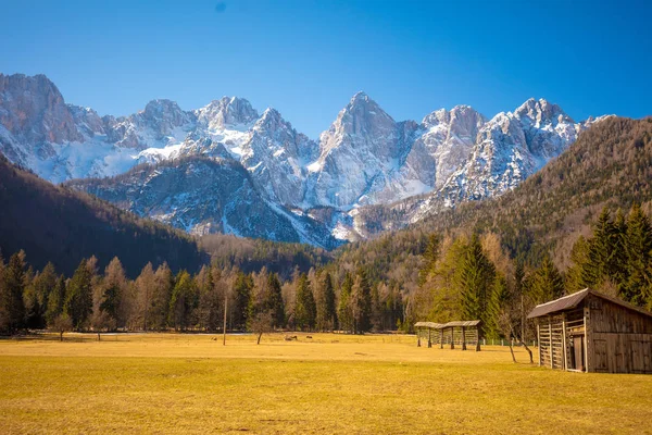 Cumes Das Montanhas Estão Cobertos Neve Parque Nacional Triglav Eslovénia — Fotografia de Stock