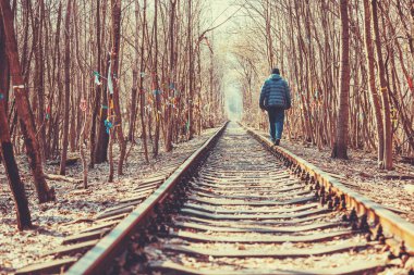 Bir adam ormanda eski demiryolunun rayları boyunca yürüyor