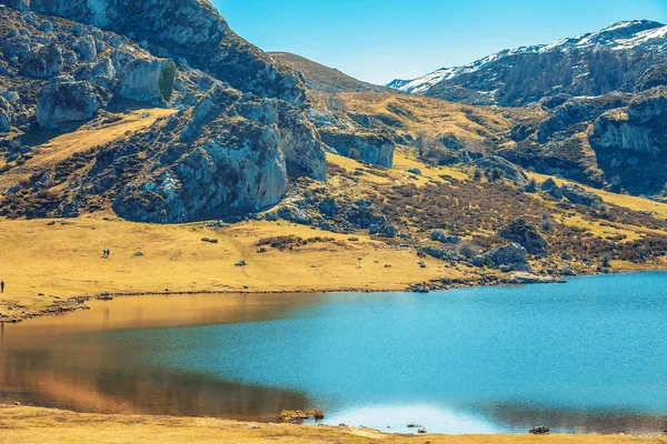 Lac Glaciaire Ercina Parc National Des Pics Europe Picos Europa — Photo