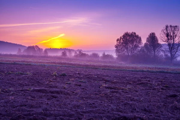 Arable Field Early Morning Trendy Purple Color — Stock Photo, Image