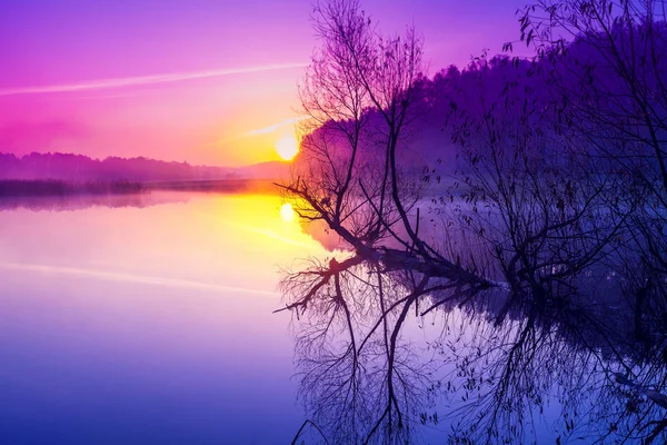 Amanecer Púrpura Mágico Sobre Lago Mañana Brumosa Paisaje Rural — Foto de Stock