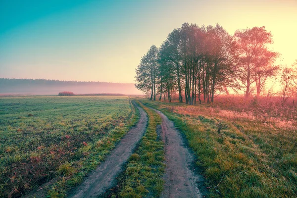 Misty Autumn Rural Landscape Sunrise Dirt Country Road Field Mystical — Stock Photo, Image