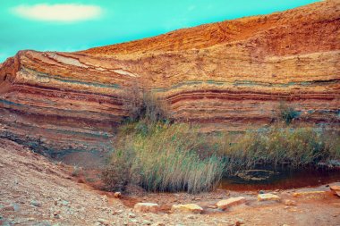 Negev çölünde Milli Parkta Makhtesh Ramon Krateri, İsrail