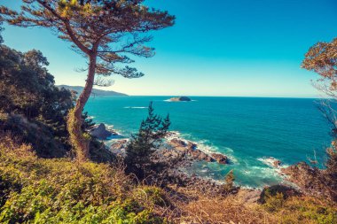 Okyanus ve güzel koy. Biscay, Bask Ülkesi, İspanya, Avrupa