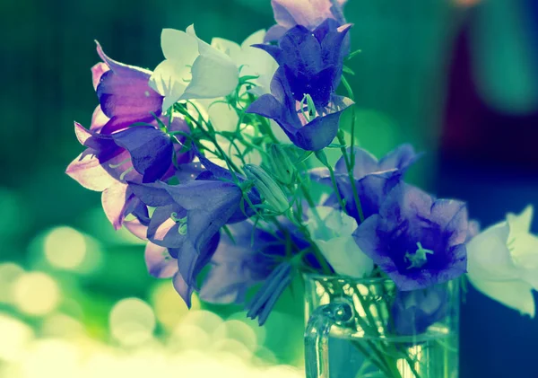 Сине Зеленые Винтажные Цветы Арабелла Бугет Летних Цветов Открытым Небом — стоковое фото
