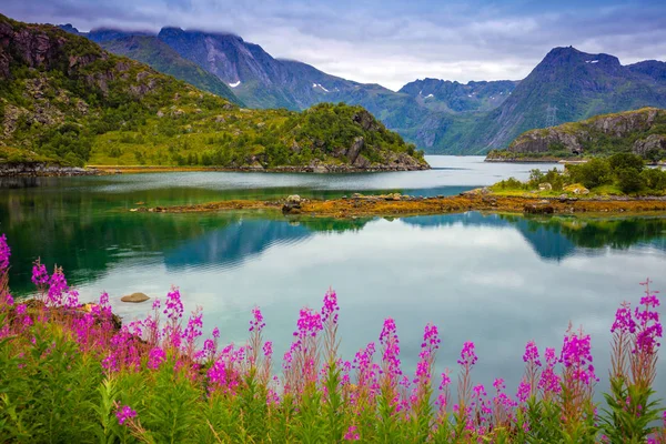 Vista Fiorde Mar Rochoso Com Reflexão Céu Azul Nublado Flores — Fotografia de Stock