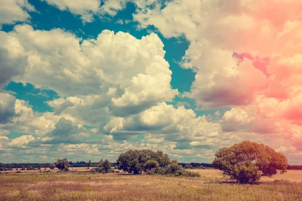 Landsbygden Landsbygdens Landskap Fältet Med Blå Himmel Och Vackra Moln — Stockfoto