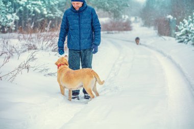 İnsan ve köpek en iyi arkadaşlardır. Yağmurlu bir kışta bir köyde köpekli bir adam yürüyor.