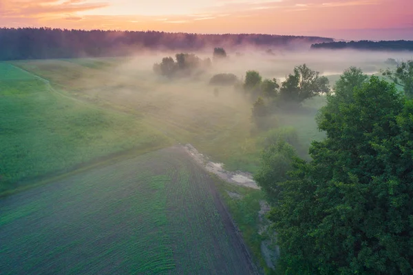 Sabahın erken saatleri, gölün üzerinde gün doğumu. Yazın kırsal alan. Hava görünümü