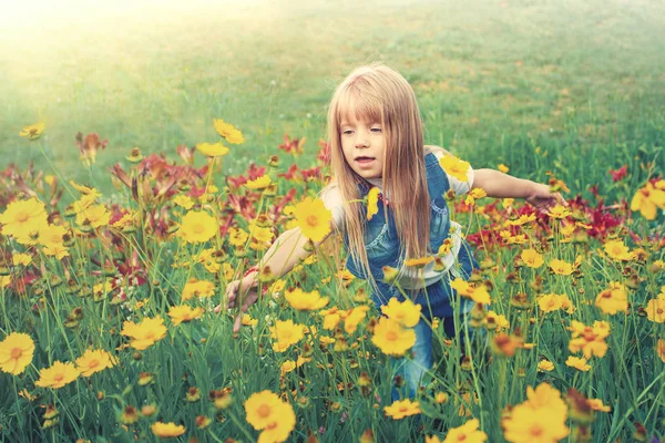 Little girl walking on flower lawn — Stock Photo, Image