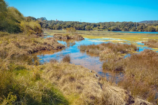 A picturesque wild nature. Natural Reserve (Natural resources) Marisma de Joyel. Cantabria, Spain, Europe