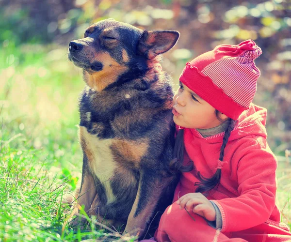 Felice Bambina Che Gioca Con Cane Nella Foresta — Foto Stock