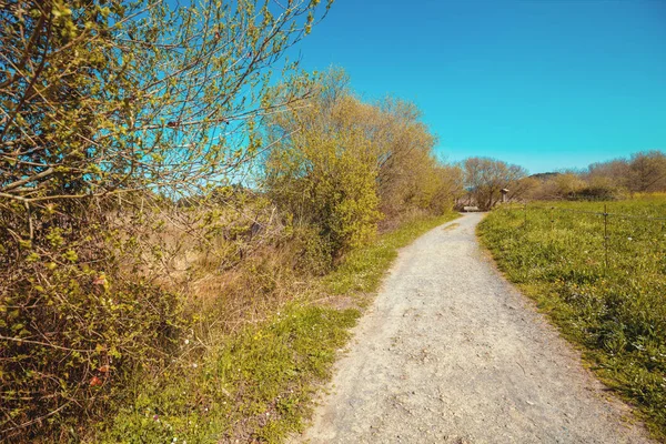 Walkway in the Natural reserve (Natural resources) Marisma de Joyel. Cantabria, Spain, Europe