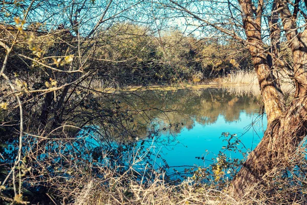 Picturesque Wild Nature Natural Reserve Natural Resources Marisma Joyel Cantabria — Stock Photo, Image