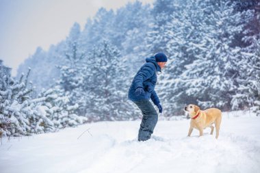 Bir adam ve köpek en iyi arkadaş. Kışın karlı bir çam ormanında oynayan köpekli adam.