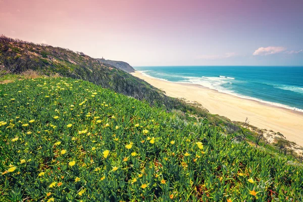 Rocky Seashore Solig Dag Den Vackra Blommande Sluttningen Berget Paredes — Stockfoto